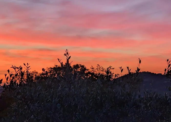 Quadrilocale Spazioso Vista Mare Montagna Relax Montone (Abruzzo)